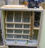 Инкубатор Блиц Поседа М-33 бытовой автоматический